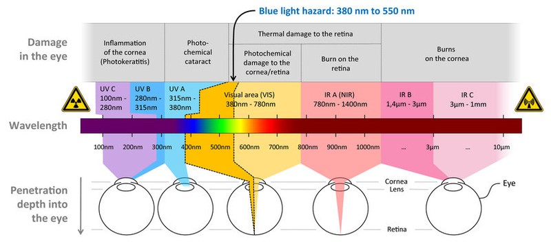 Which Parts Of The Eye Are Affected? (Depends On Wavelength) Which Parts Of The Eye Are Affected? (Depends On Wavelength)